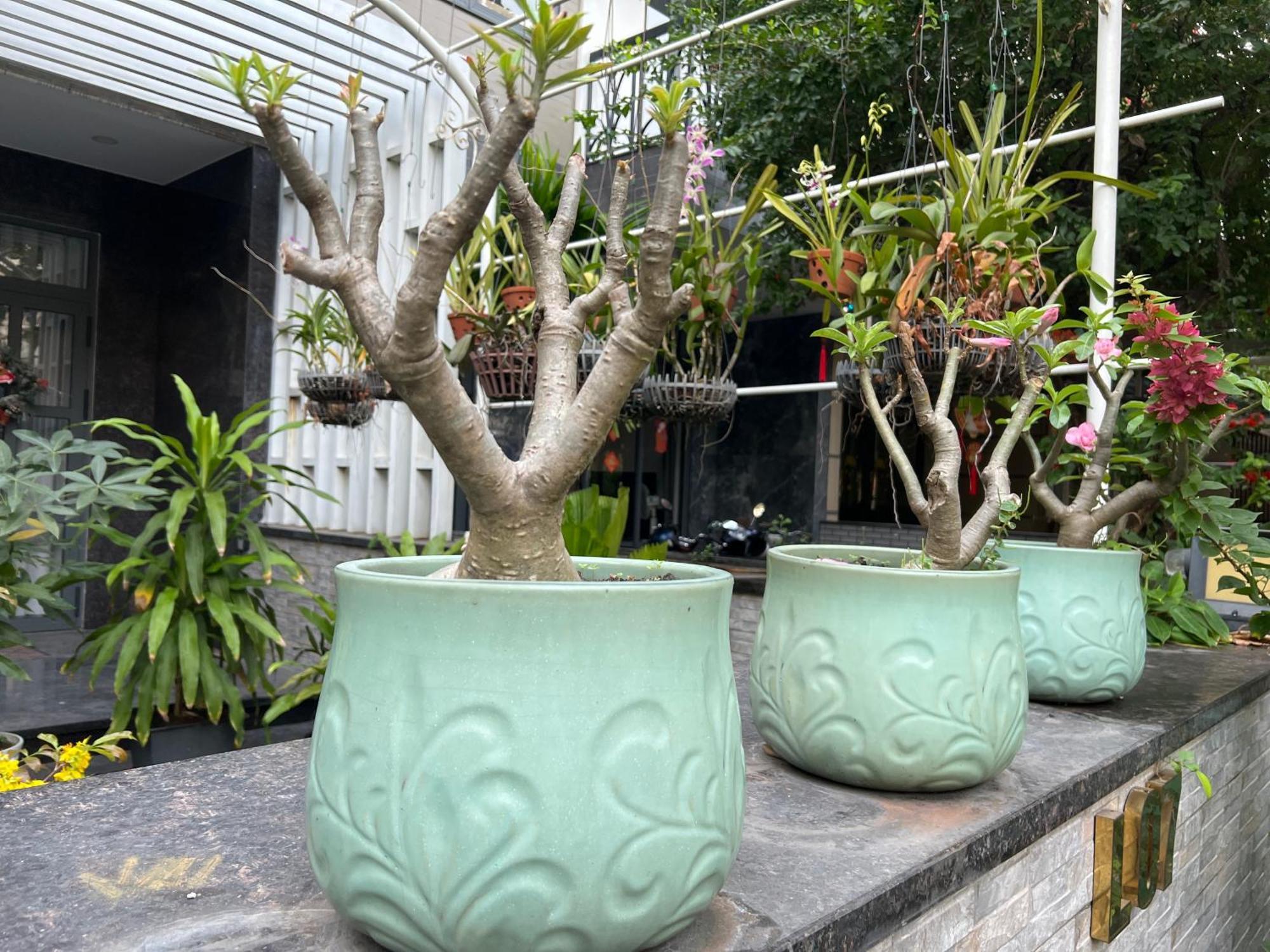 Home Resort With Full Amenities Cidade de Ho Chi Minh Exterior foto